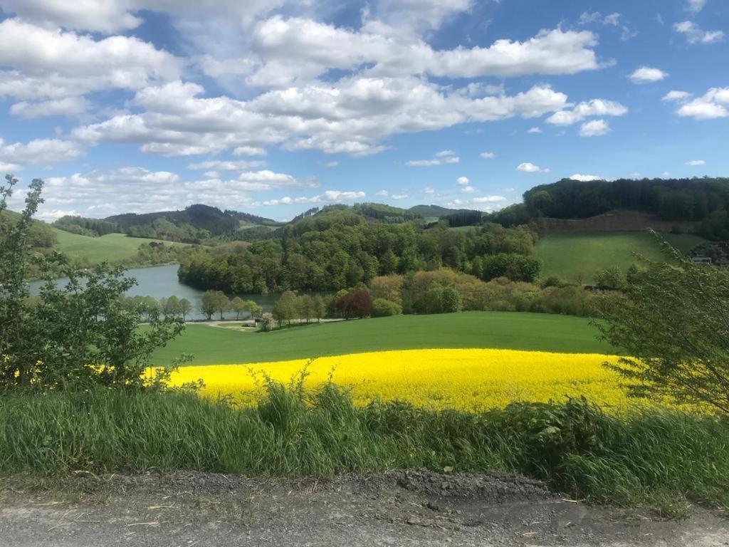 Haus Am Hennesee เมสเชอเดอ ภายนอก รูปภาพ